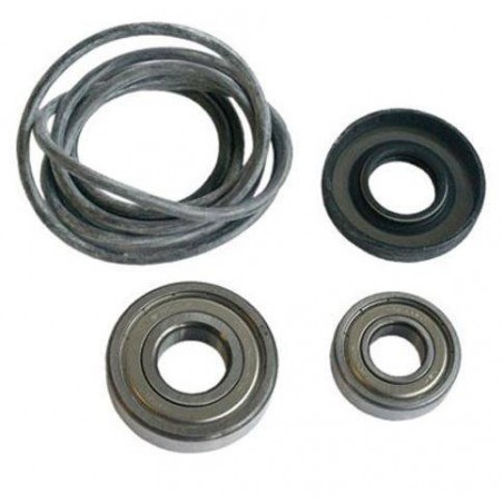 kit rodamientos 172685 Balay 